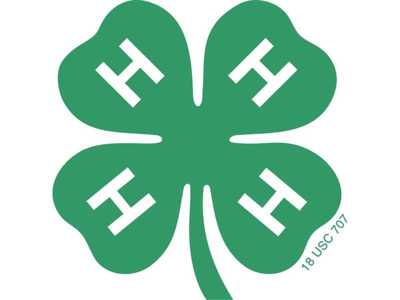 Logo for 2024 Morton County 4-H Achievement Days