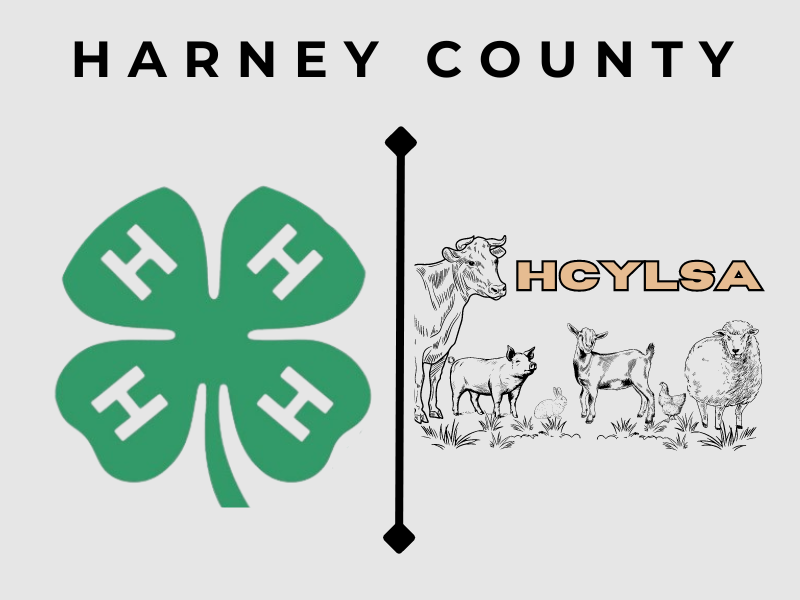 Logo for Harney County Youth Livestock Show & Auction